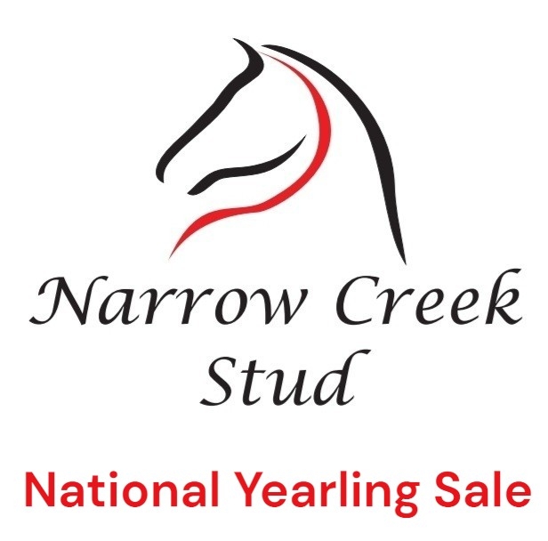 SAHorseracing.COM - South African Horseracing and Betting